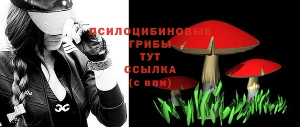 эйфоретик Нягань