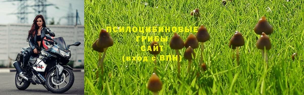 эйфоретик Нягань