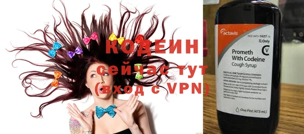 шишки Нязепетровск
