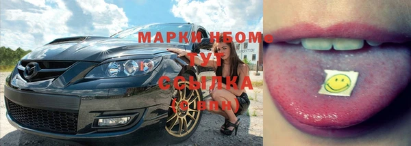 шишки Нязепетровск