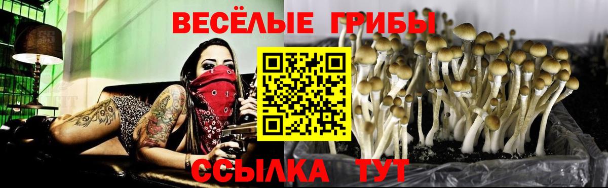 купить   Галлюциногенные грибы ЛСД  Вход с VPN  Череповец 